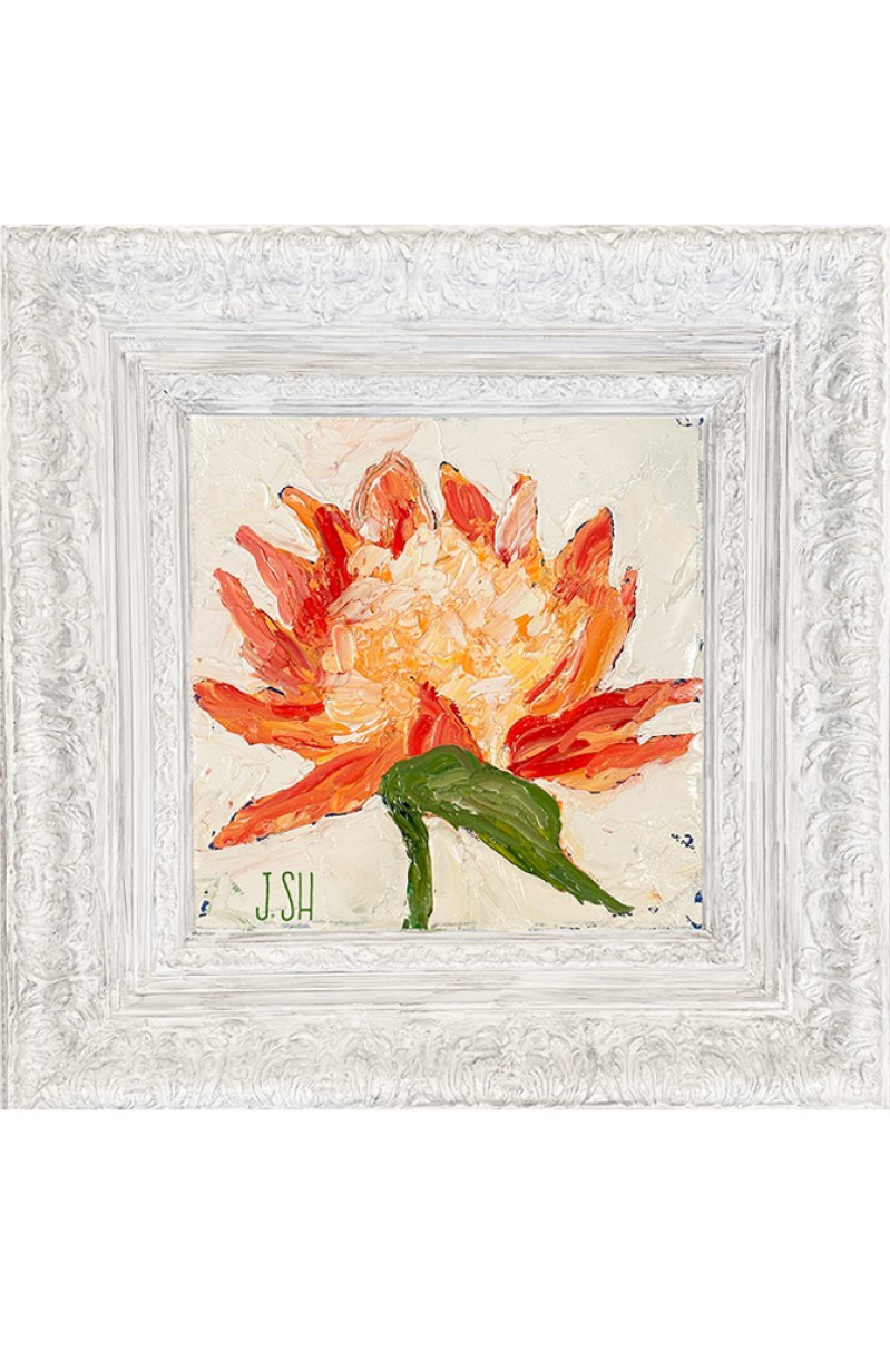 Waratah Flower for joomla site